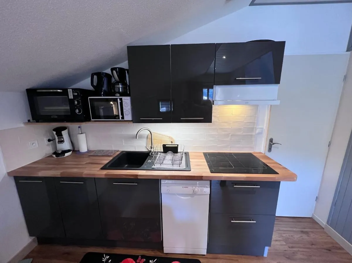 Les Cristallines Apartment Le Lioran
